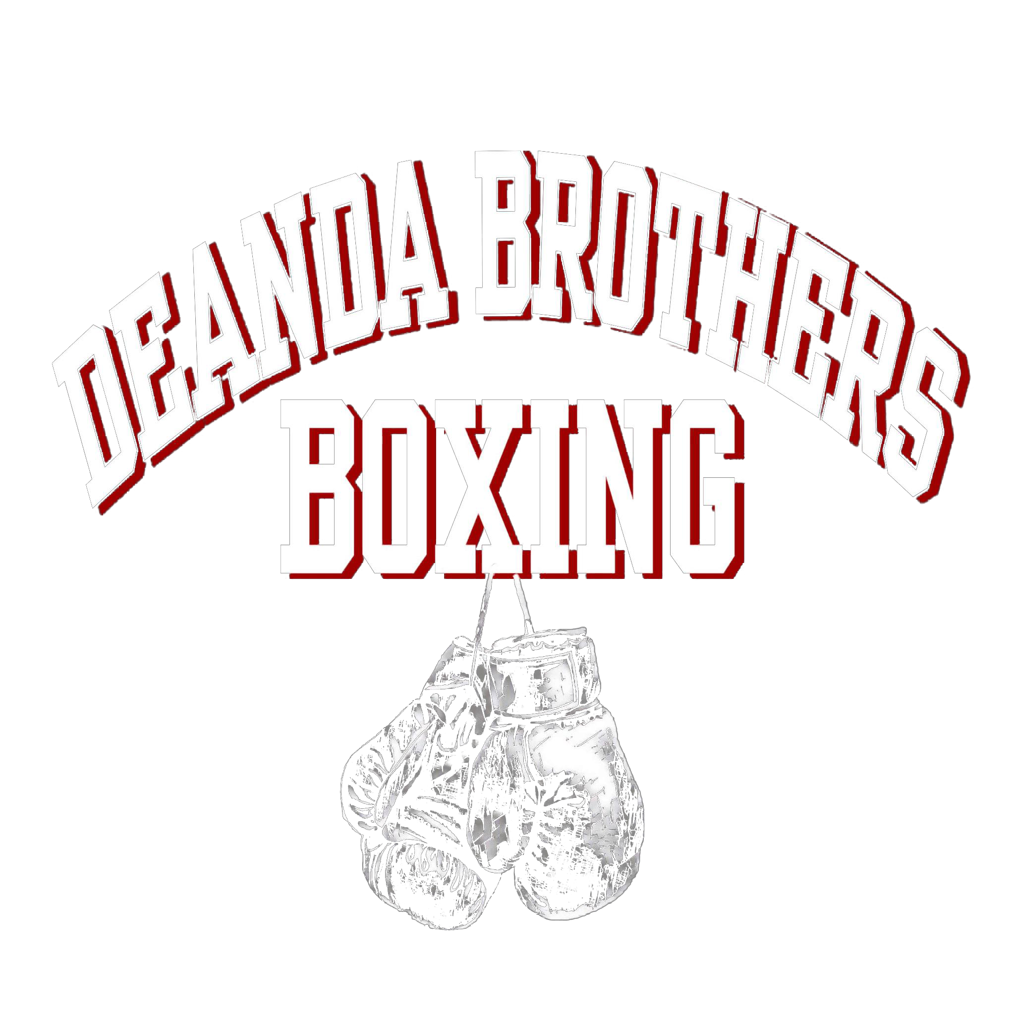 DeAnda Brothers Boxing