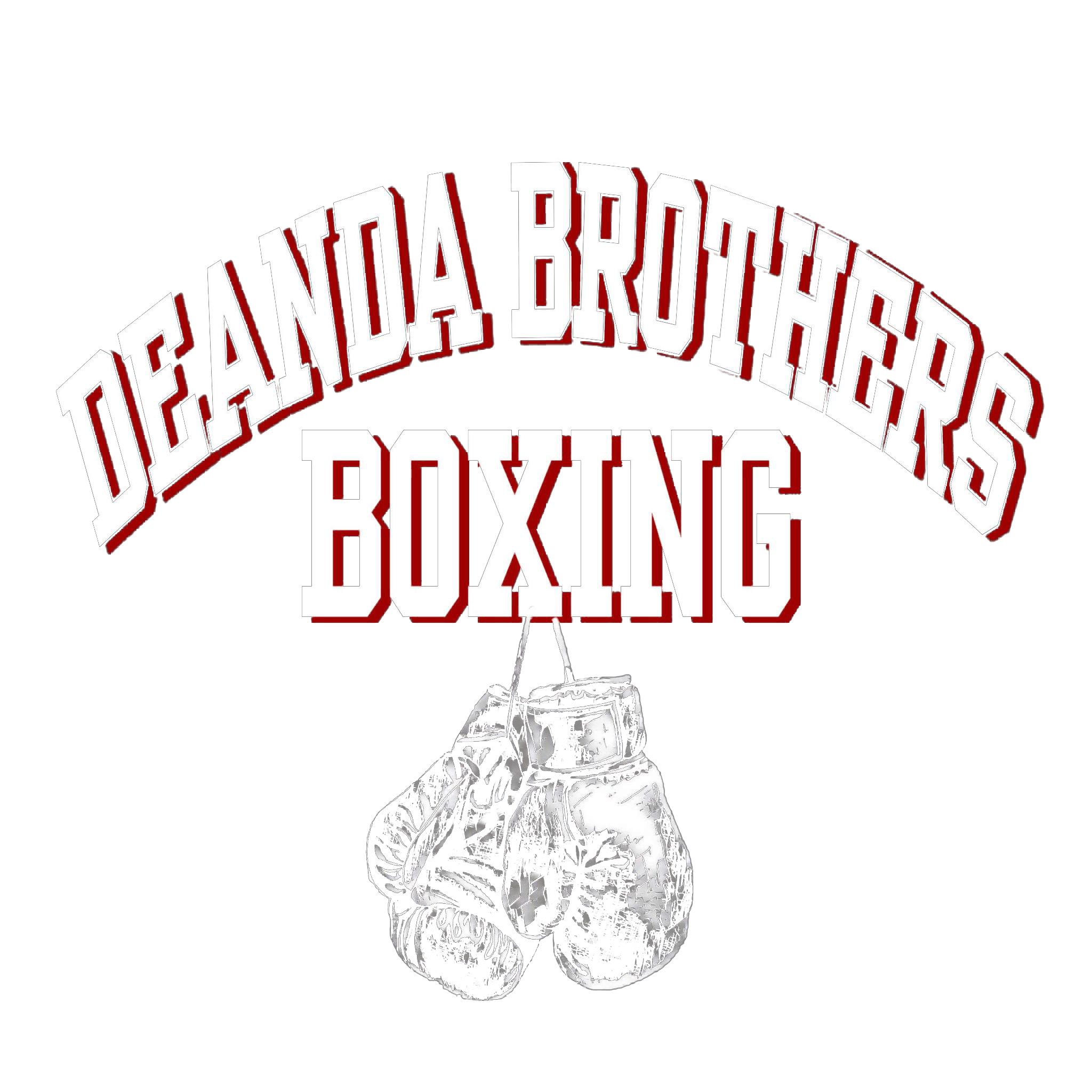 deanda brothers boxing logo